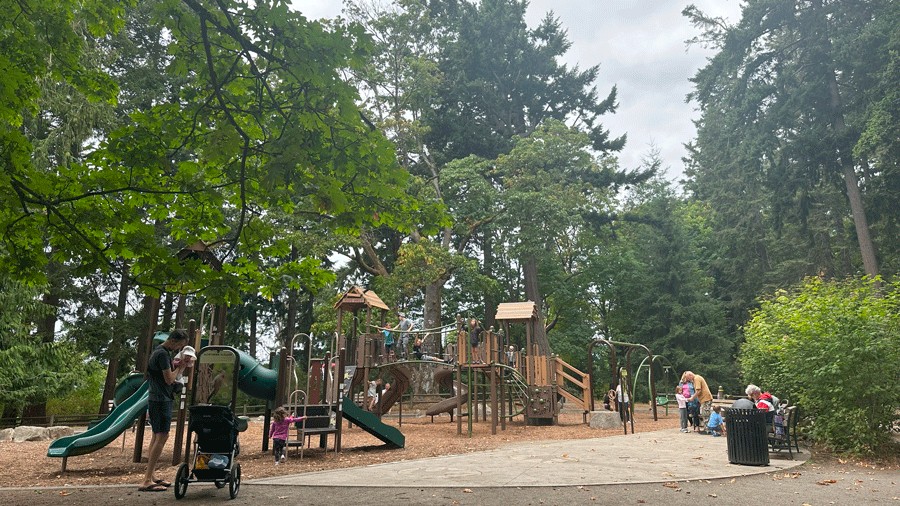kids playing in the shade on a sunny day at Lincoln Park in Seattle