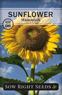 sunflower seed packets