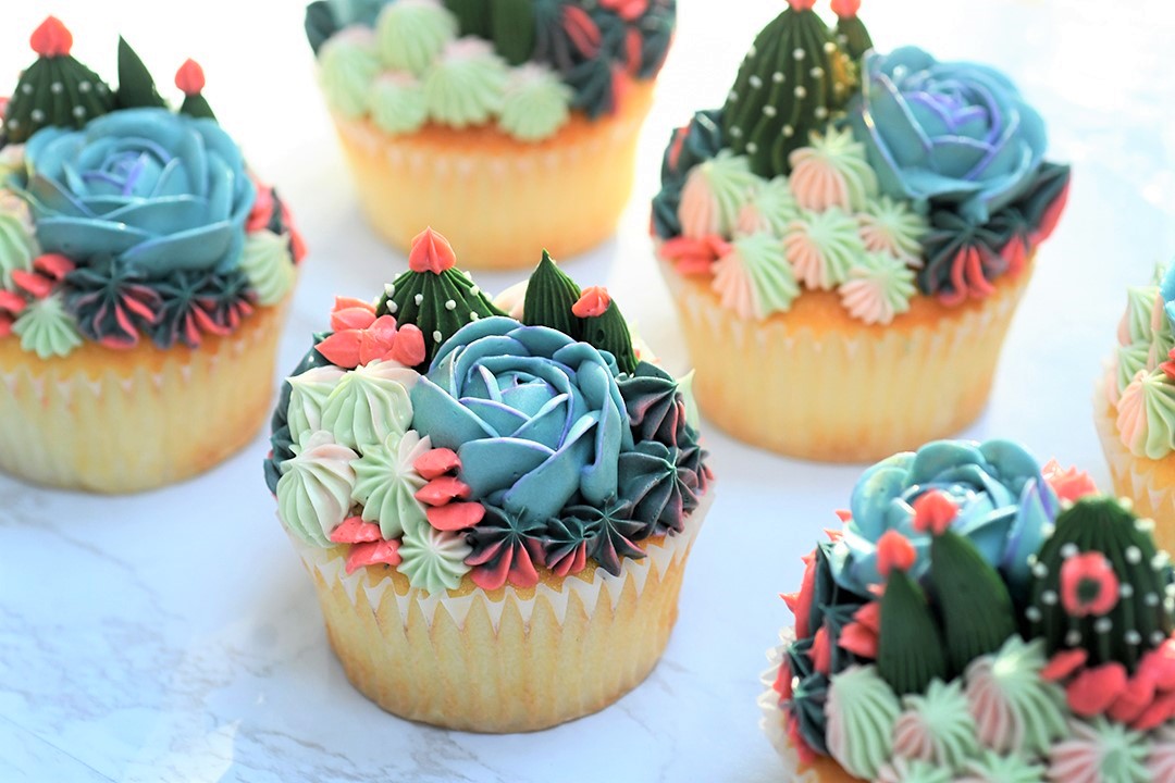 FogRose Atelier succulent frosting cupcakes best unique and new desserts around Seattle to try with kids