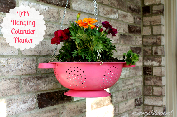 Colander planter