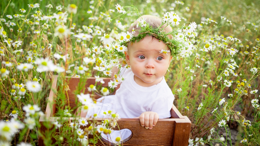 Baby with an April birthday in a field of daises