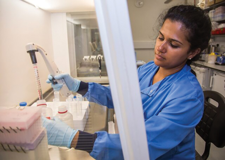 Women working in a medical testing lab