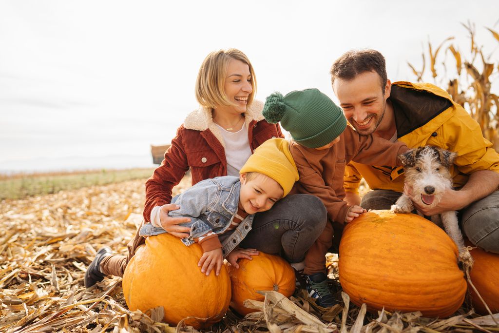 October Play List: The Harvest and Halloween Edition