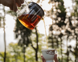 Tea pouring from a teapot into a tea cup