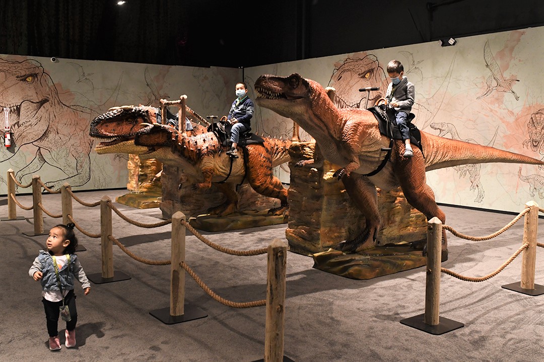 The ride-on dinosaur models at Dinos Alive new interactive dino experience in Seattle for kids and families