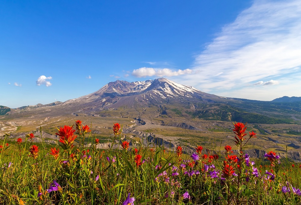 Mount-St-Helens-stunning-local-wonders-to-visit-with-kids
