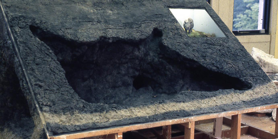blue-lake-rhino-cave-replica-burke-museum