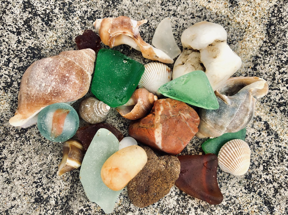 Collection of shells and beach glass gathered in the sand beach treasures to find and collect fun in nature with kids