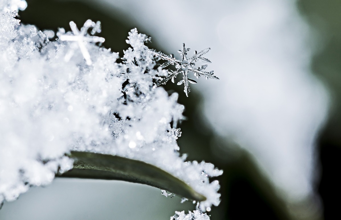 Close up of snowflake snow crystal nature crafts for kids all winter long