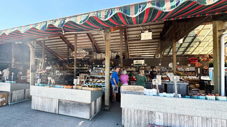snow goose produce roadside stand in skagit valley