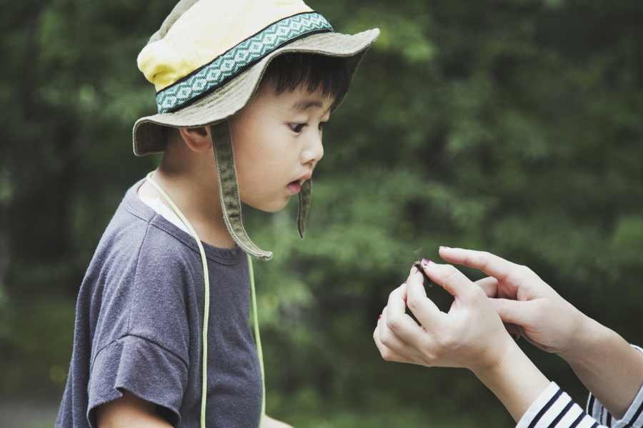 Boy looking at dragonfly with wide eyes, curious
