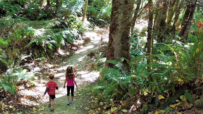 Kids hiking in Llandover Woods keeping cool in the trees during hot Seattle weater