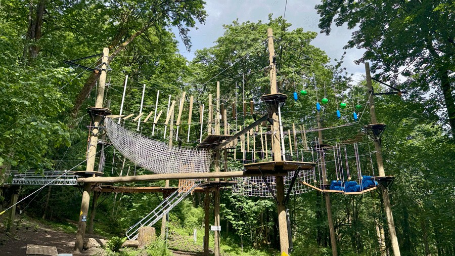 view of the ropes course at Aerial Park