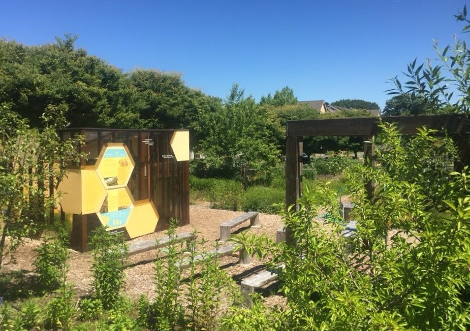The West Seattle Bee Garden