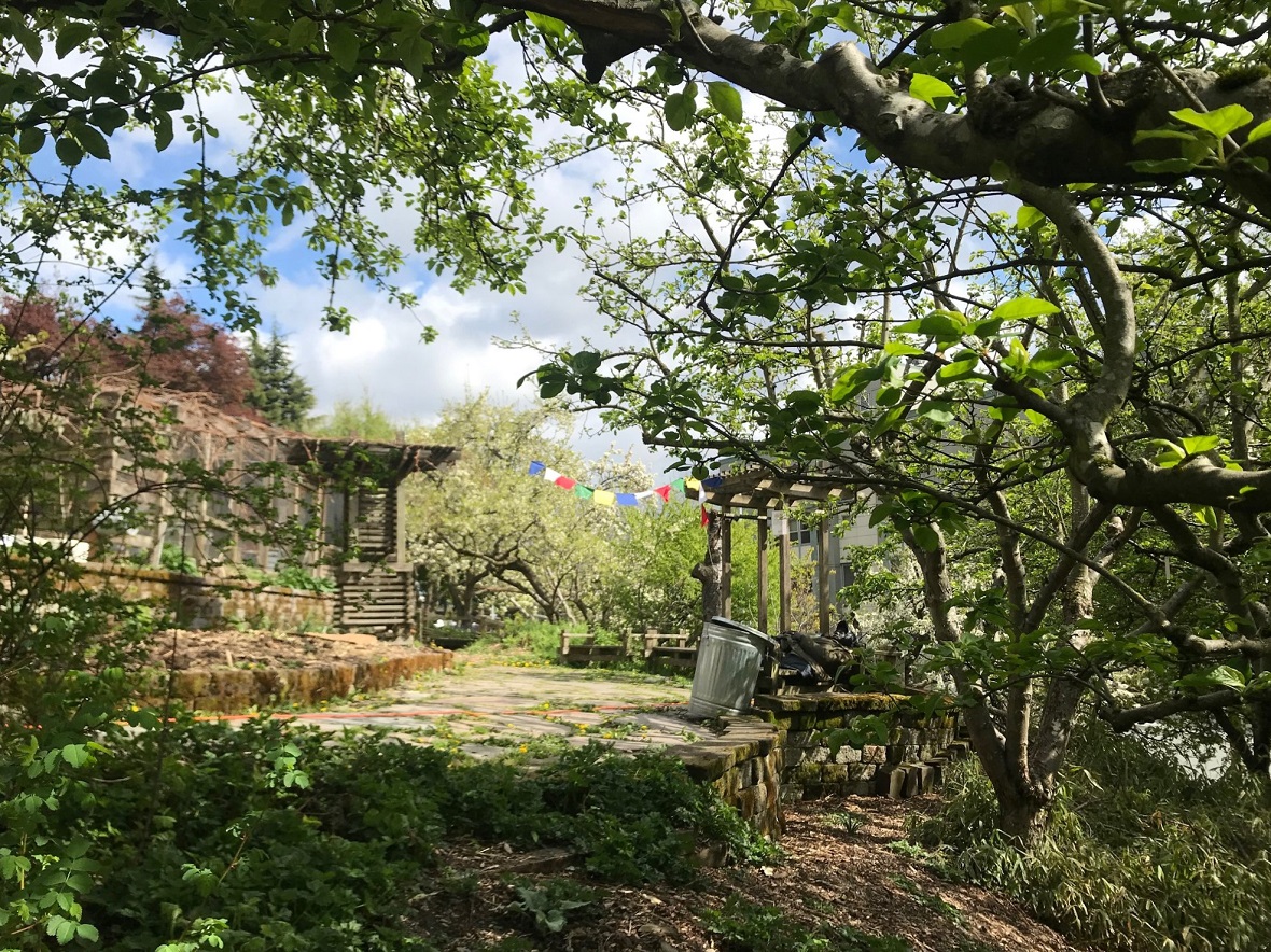 The Danny Woo International District Community Garden