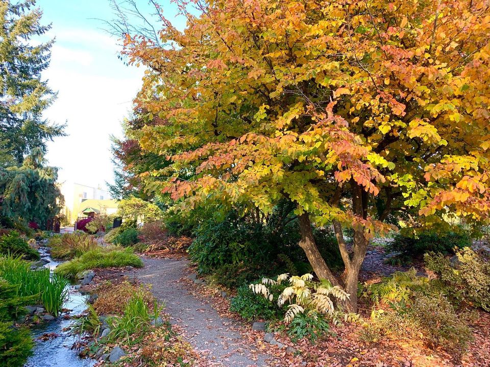 Highline Seatac botanical garden seattle puget sound area gardens for kids and families