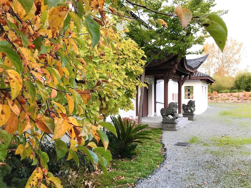 seattle chinese garden best secret gardens for kids families around seattle