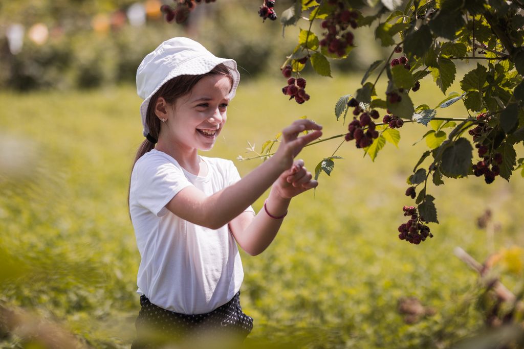 Urban Foraging: Pick Wild Berries in Local Green Spaces
