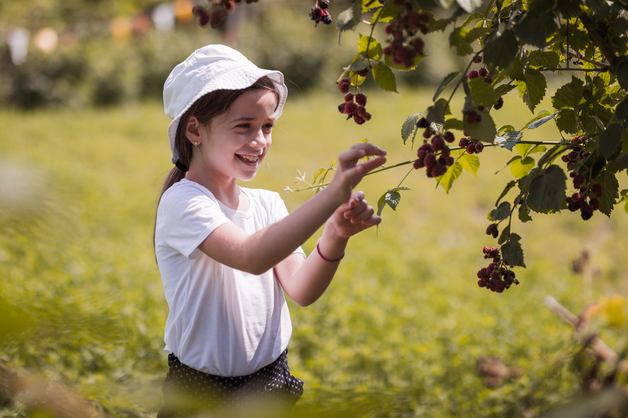Child picking blackberries and smiling