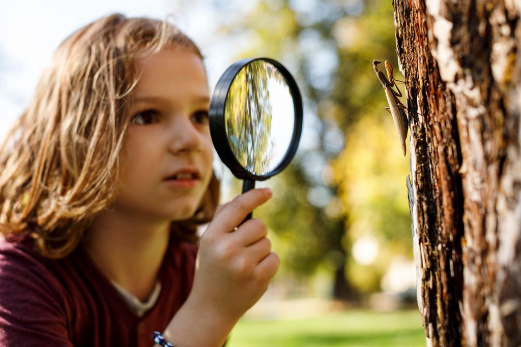 5 Activities for Kids Who Love Bugs, Birds and Other Critters