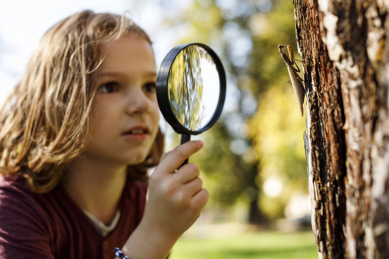 kid looking at a mantis with a magnifying glass