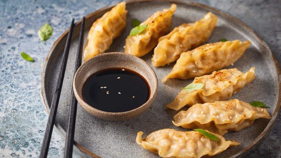 gyoza on a plate at a Seattle dumpling restaurant