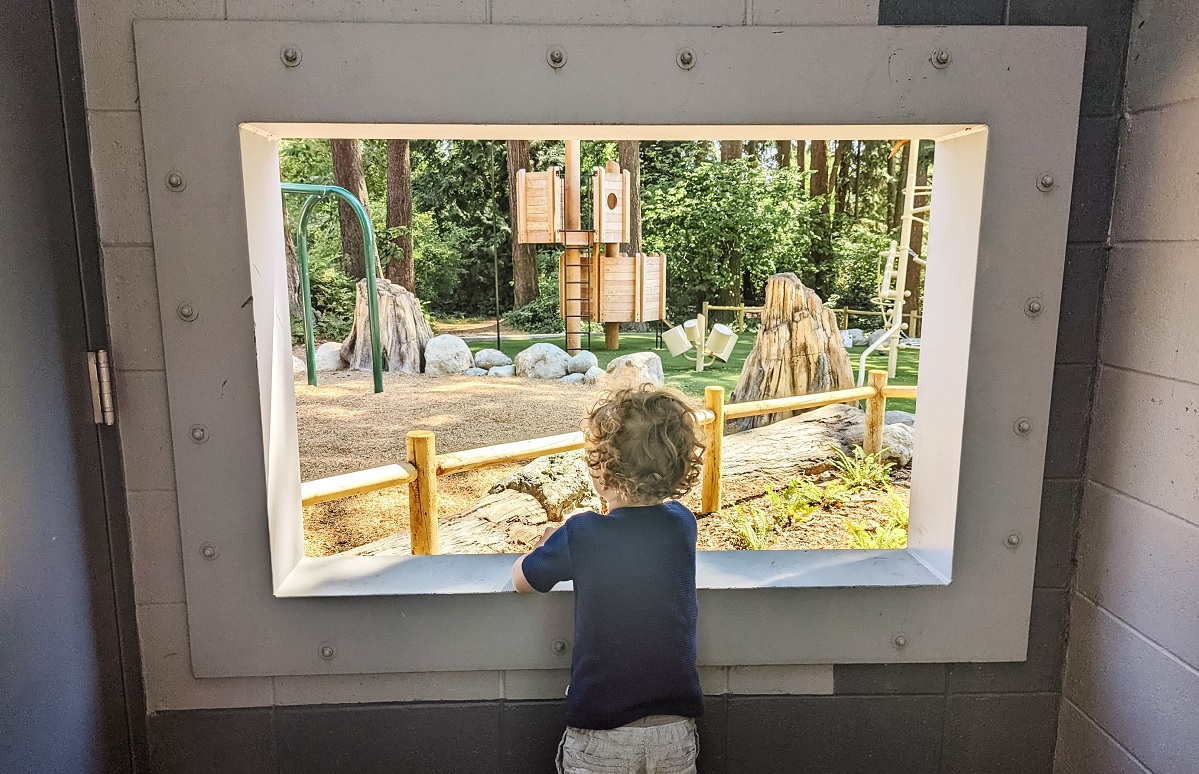 A young boy looks out the window of the playground treehouse at the new playground at South Lynnwood Park