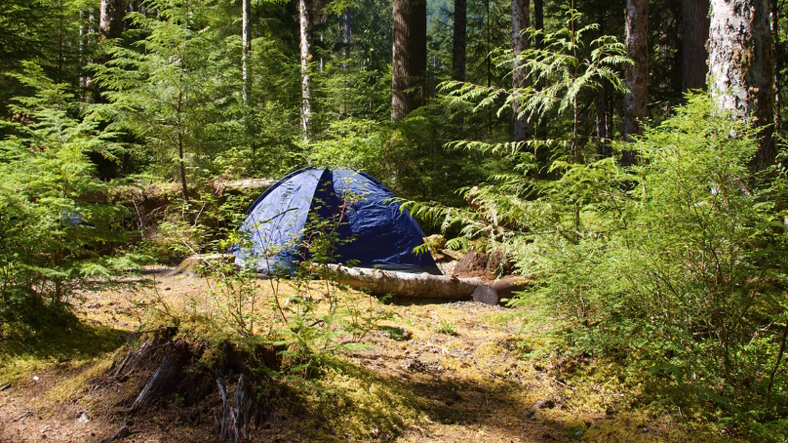 tent camping in Olympic national park