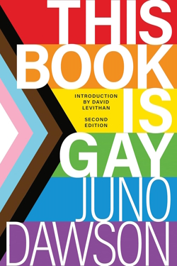 The cover of the banned book This Book is Gay