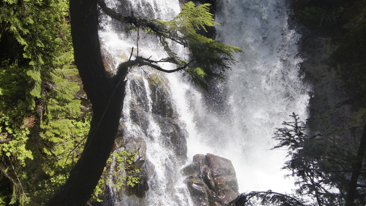 Part of Carter Falls at Mount Rainier National Park
