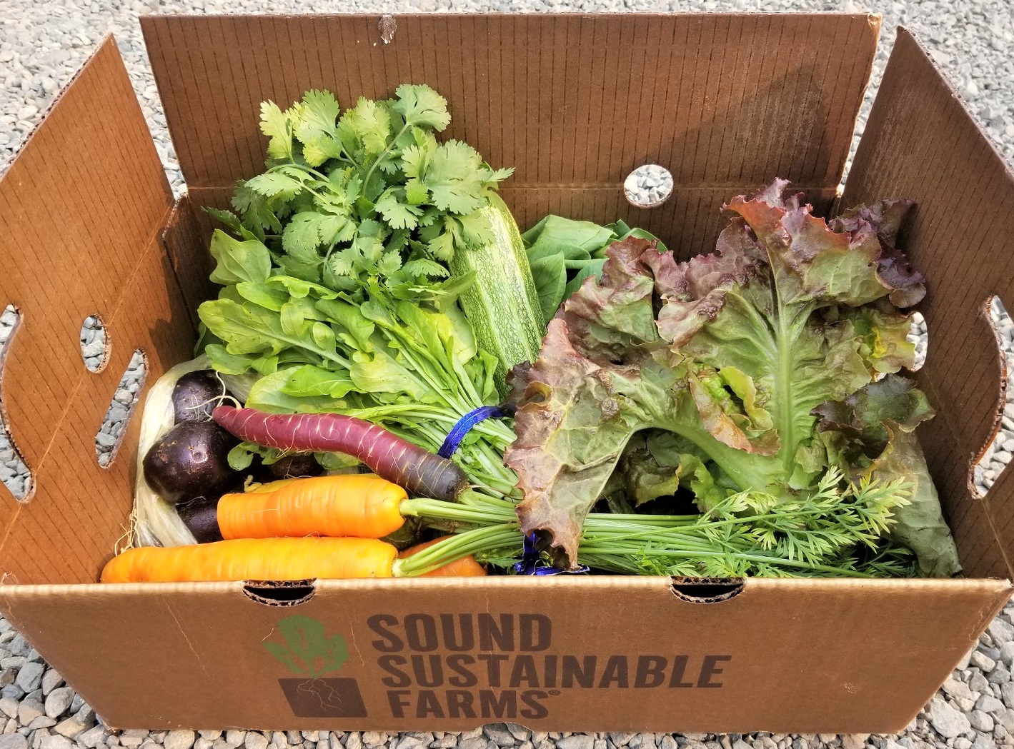 Sound Sustainable Farm CSA farm share produce box seattle area CSAs to join now