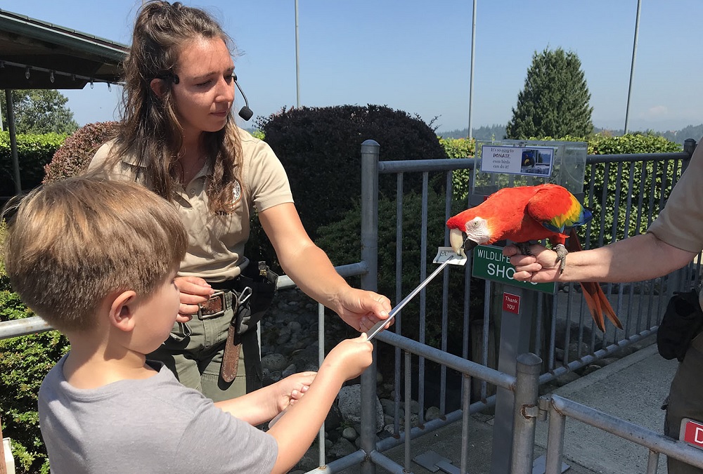 A boy and a zoo staffer interact with a maccaw at the Cougar Mountain Zoo