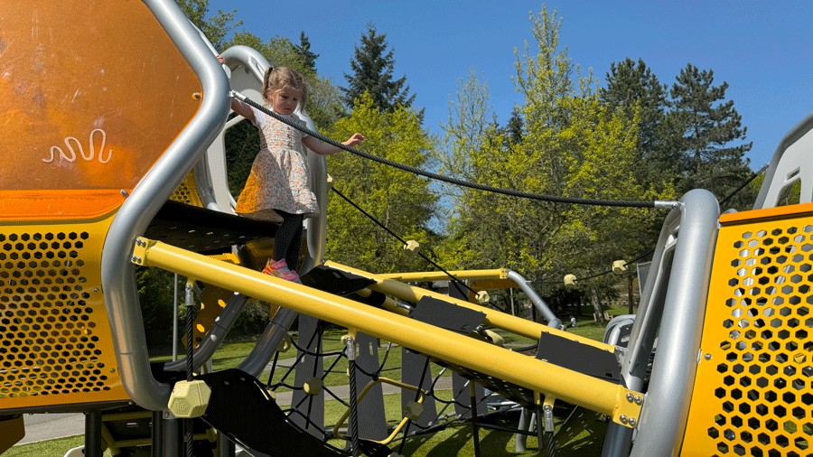 young girl climbing across bridge at Bellevue's newest playground