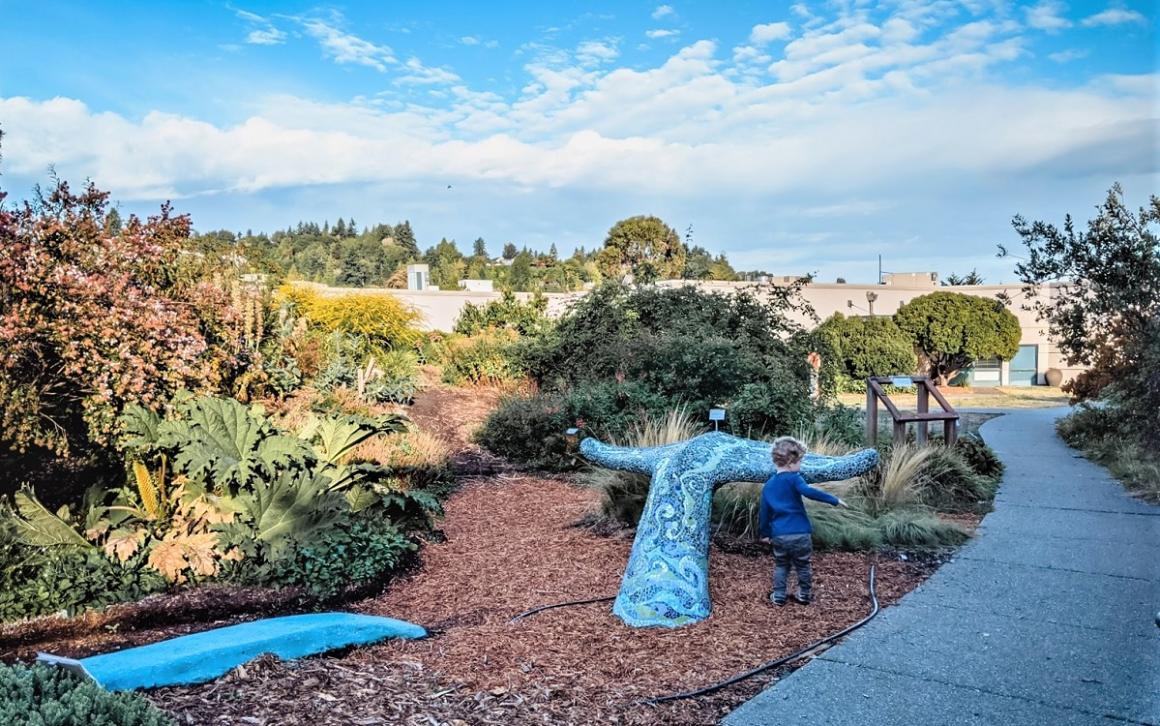boy at Magnuson children’s garden poses with mosaic whale tail