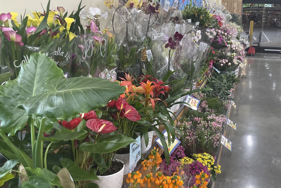 flowers at Trader Joes