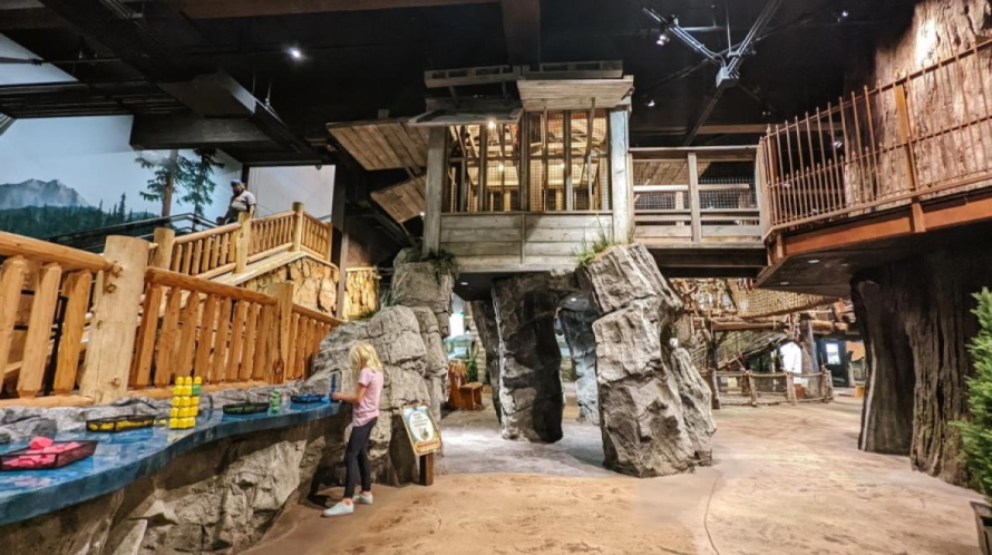 Tree fort at the Imagine Children's Museum
