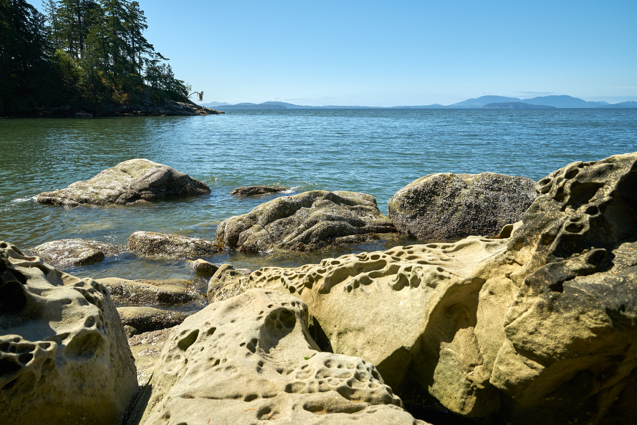 Bellingham's Larrabee State Park has rocky and sandy shoreline plus trails, woods, camping and views of Bellingham Bay