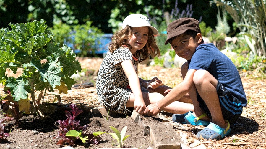 Seattle-Area Teaching Gardens Are a Hotbed for Learning