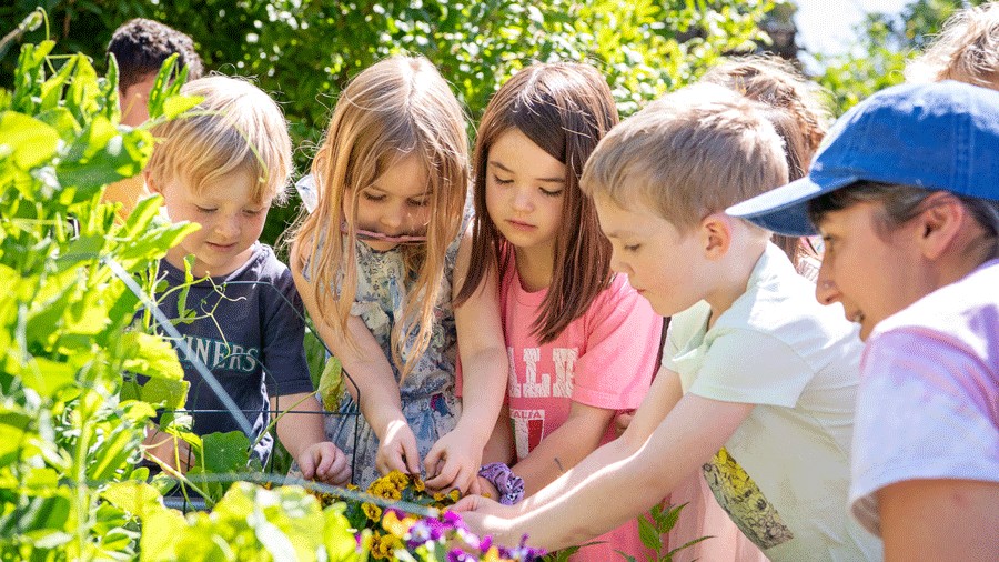 kids gathered around a garden learning about planting, a fun family activity in Seattle