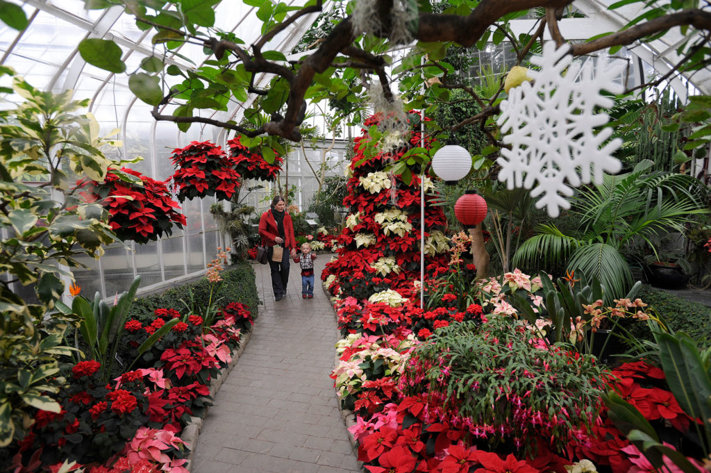 Holiday display at the Conservatory
