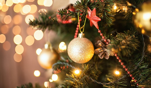 Christmas tree close-up
