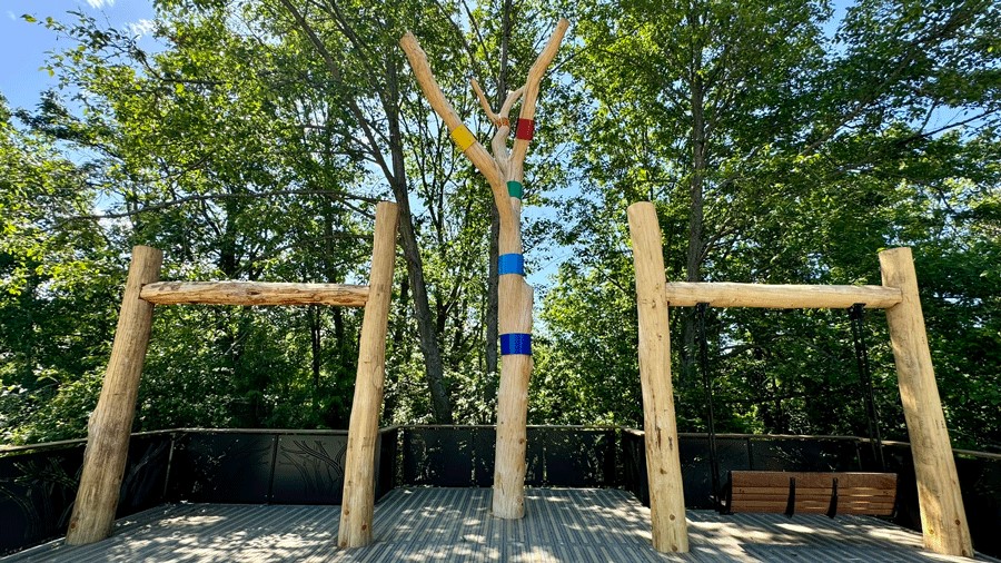 The tree house ravine at Seattle’s inclusive playground at Pathways Park has swings and a braille poem.