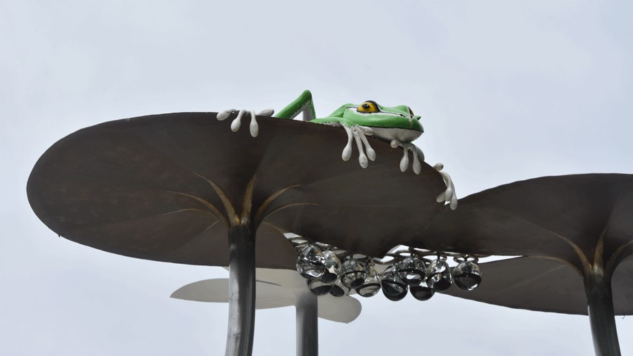 A huge frog peeks over a lily pad at Pathways Park, Seattle's largest, most inclusive playground