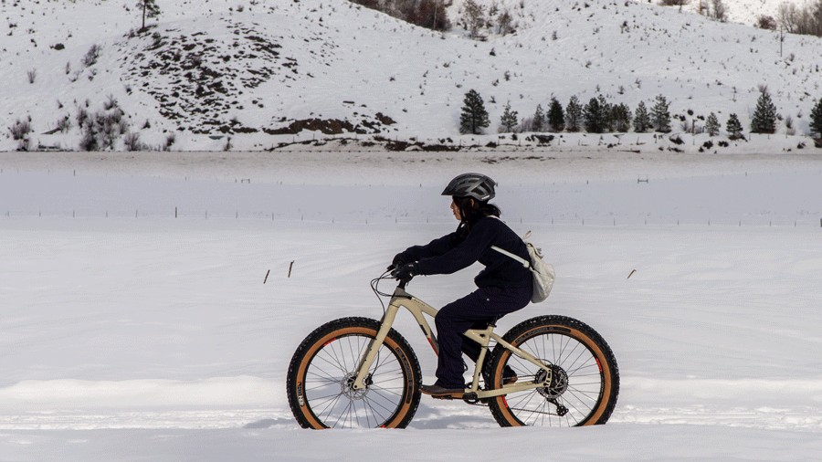 Fat Biking for Seattle-Area Kids and Families: Getting Started Guide