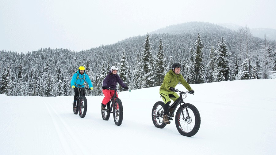 Seattle family fatbiking through the snow