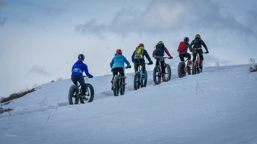 families biking up hill on fat bikes