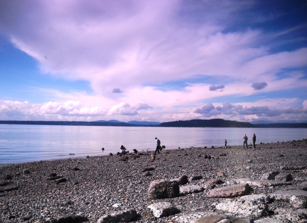 The beach at Charles Richey Sr. Viewpoint in West Seattle among easy fun day trips for families