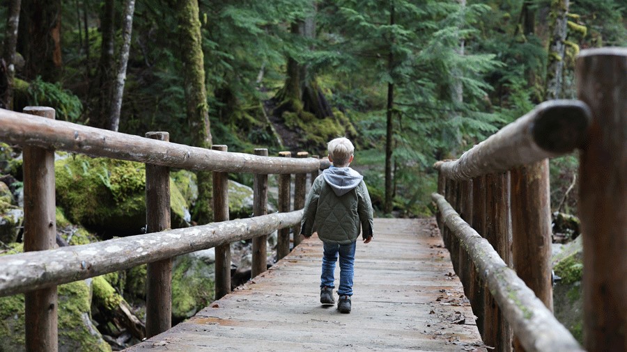 8 Scenic Hikes to Get Everyone Outside This Winter