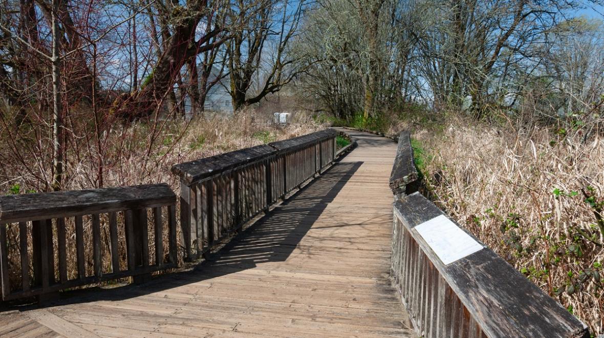 A hiking trail at the popular Billy Frank Jr. Nisqually National Wildlife Refuge