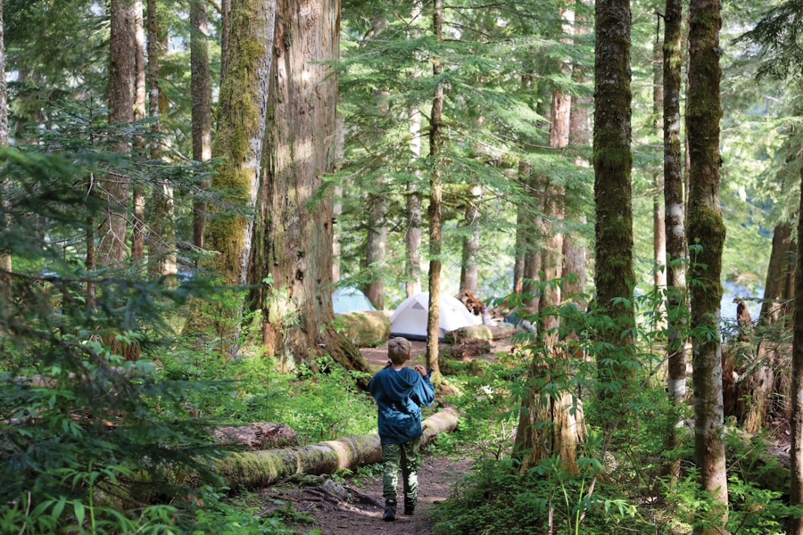 little boy in a forest backpacking with family